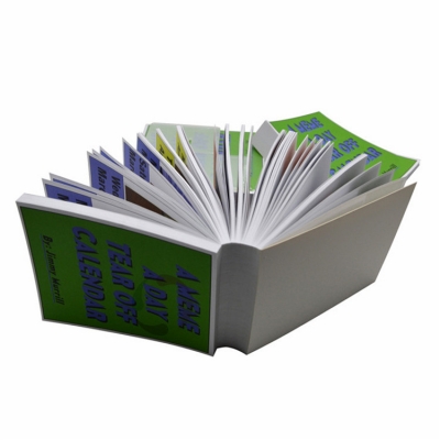 Custom Printing Desk Calendar Mini Daily 365 Days Calendar Tear Off