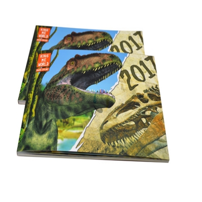 High Quality Wholesale Printing Book Children Hardcover Child Story Book Print
