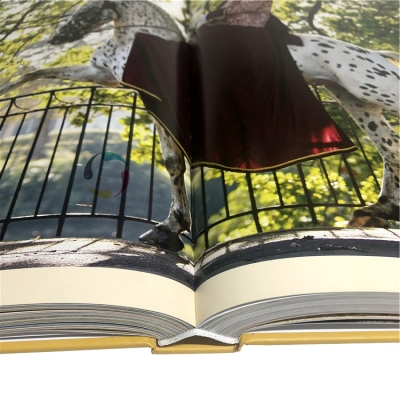 Best selling durable using Picture Book Printing Hard Cover Printing Photo Hard Cover Book Printing Service